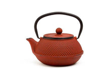 Textured Design Cast Iron Teapot / Cup
