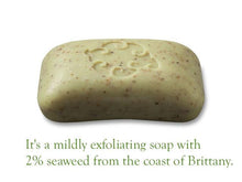 Essence Loofa Bar Soap
