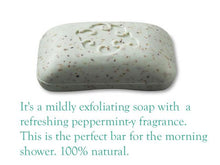 Essence Loofa Bar Soap