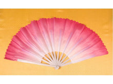 Plastic Frame Fabric Dancing Fan (2 pcs Set)