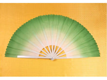 Plastic Frame Fabric Dancing Fan (2 pcs Set)