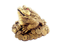 Three-Legged Toad on Coins - #4
