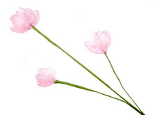 Textured Acrylic Flower Stem