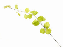 Frosty Acrylic Flower Stem