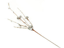 Sea Shell Cherry Blossom Stem