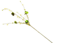 Sea Shell Cherry Blossom Stem