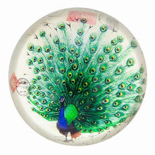 Glass Paper Weight