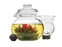 Borosilicate Glass Tea Pot w.Strainer