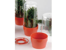 Herb Saver