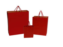 Paper Gift Bag - Maroon Red