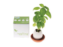 Egg Hatches Plant
