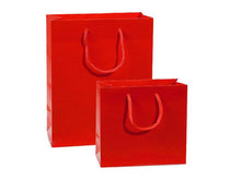 Heavyweight Paper Gift Bag
