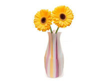MYVAZ Expandable Flower Vase